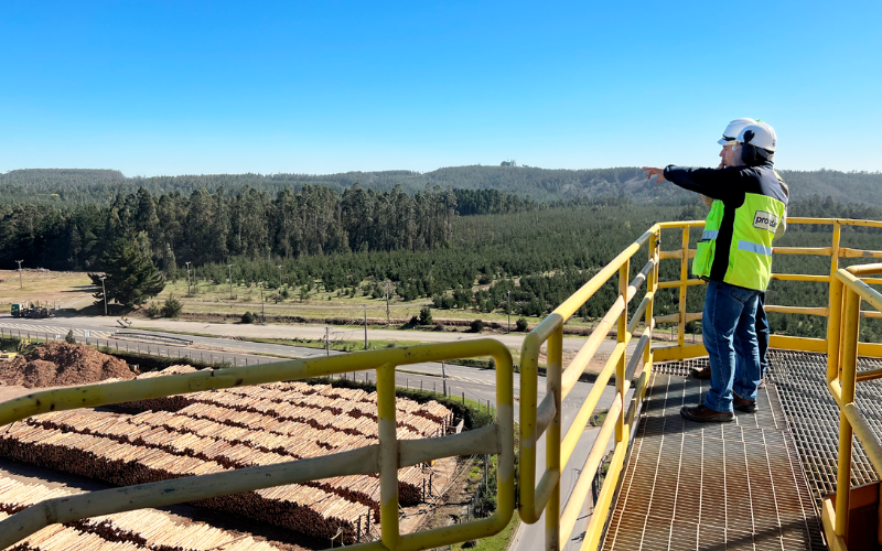 Servicios Diagnóstico Ambiental