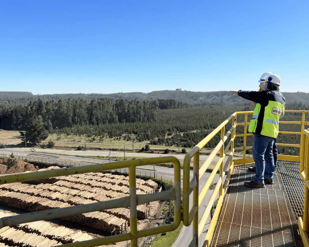 Proindar Forestal 3