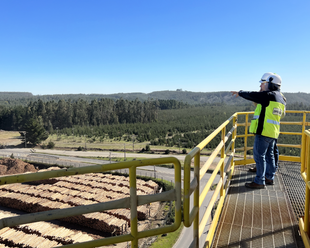 Proindar Forestal 6