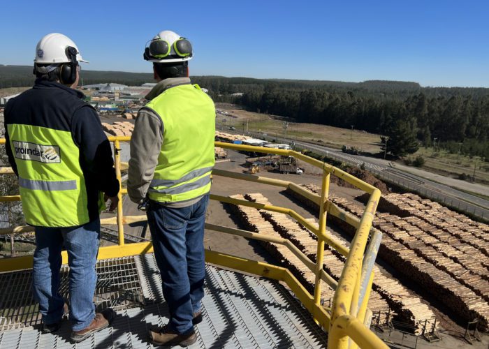 ​Proindar diseña nuevos servicios de grating para el sector forestal